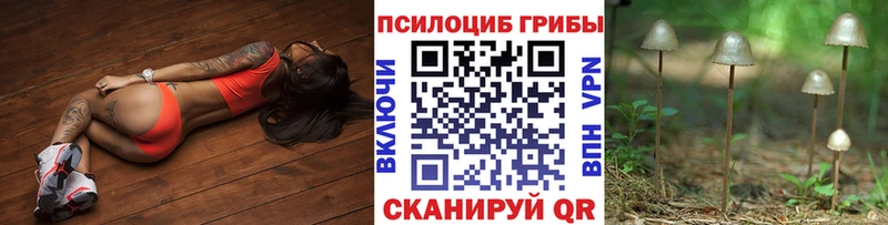Псилоцибиновые грибы прущие грибы  Углич 